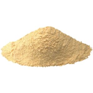 Garlic Powder Indian
