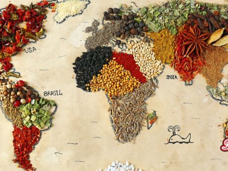 The world map built by different spices