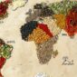 The world map built by different spices