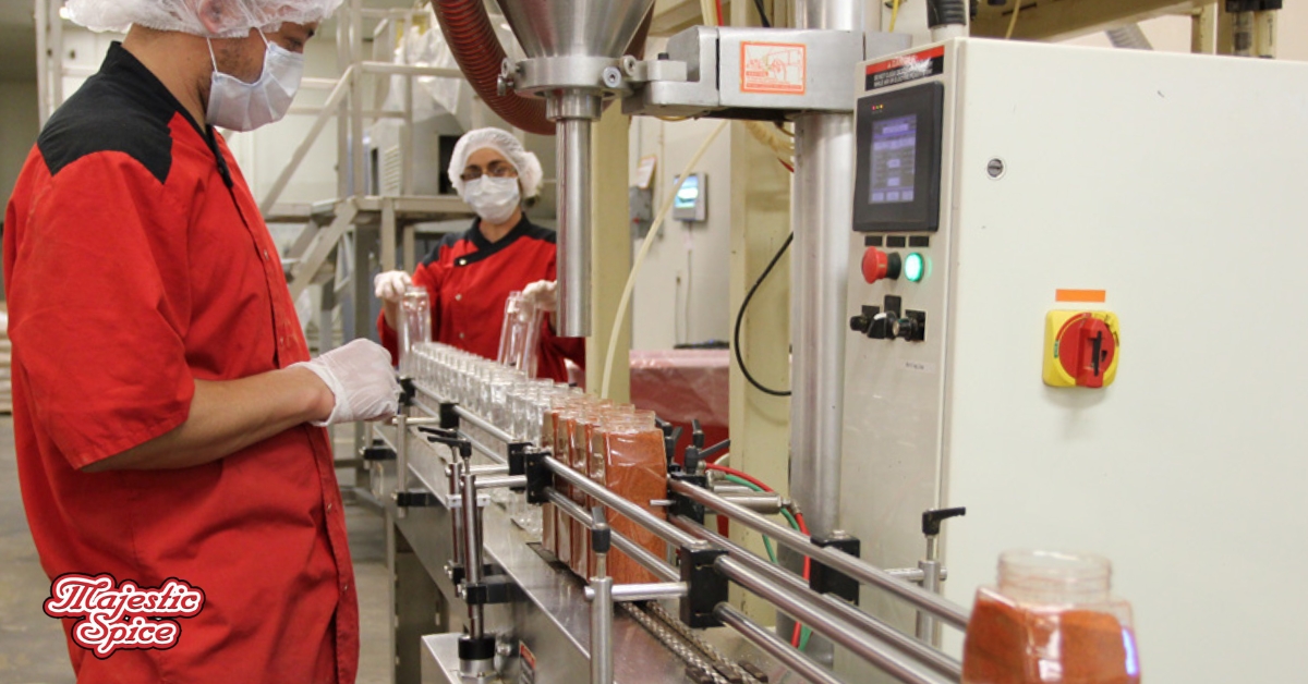 Image of Majestic Spice production line. Two Majestic Spice workers overseeing the automated bottling process of spice jars. Both of them are wearing a red shirt, hairnets and white gloves, placing empty glass jars onto a conveyor belt.The jars appear to be filled with a reddish spice blend. The Majestic Spice logo is displayed in the bottom left corner.